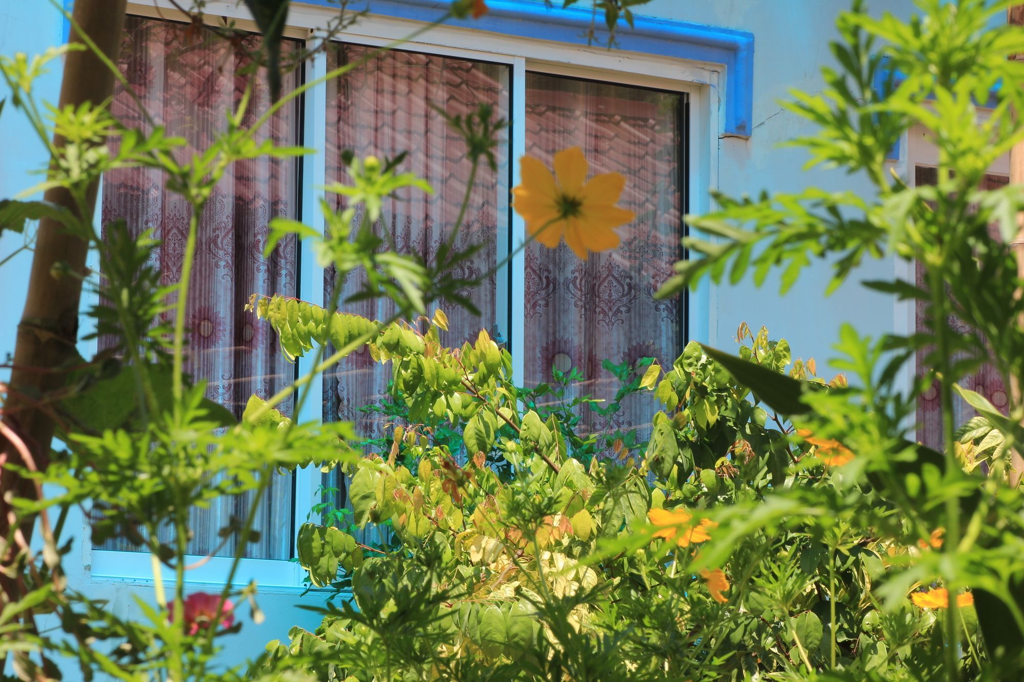 Bi Home Pq Phu Quoc Exterior foto